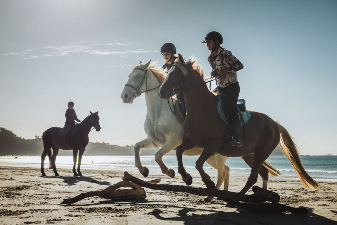 Horse riding at Waiheke High School