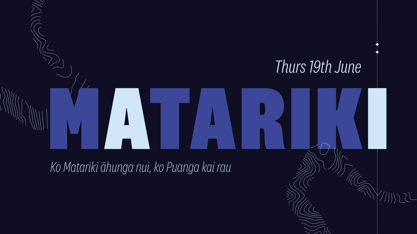 Matariki logo 2025
