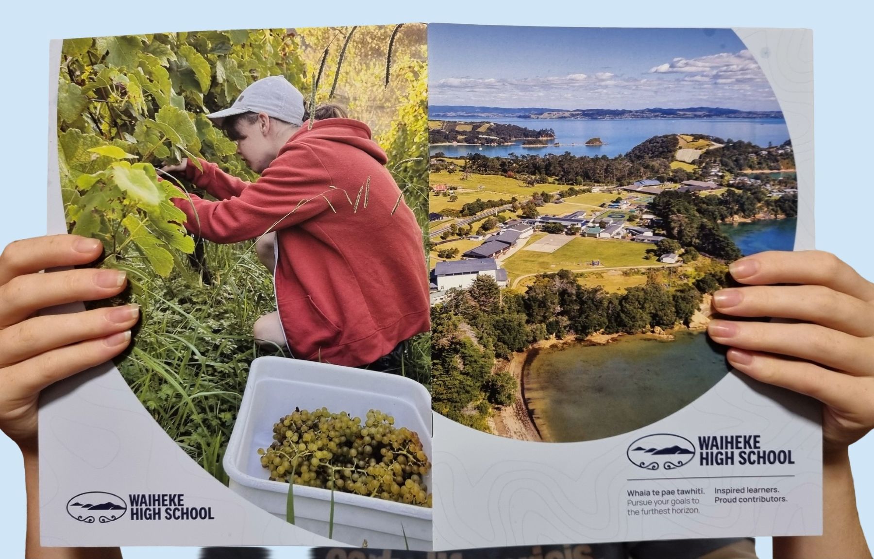 Image of prospectus in hands