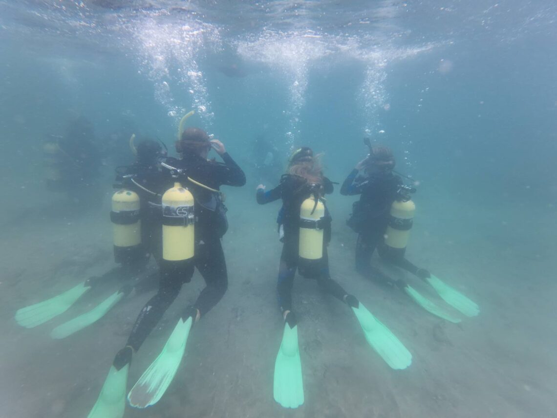 NCEA level Sea Sports Scuba Diving