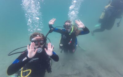 Students in NCEA level 3 Sea Sports become certified open water divers